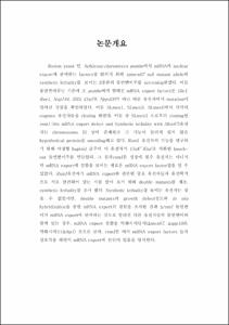 분열효모인 S. pombe에서 mRNA export와 관련된 rsm1 유전자의 기능에 대한 연구